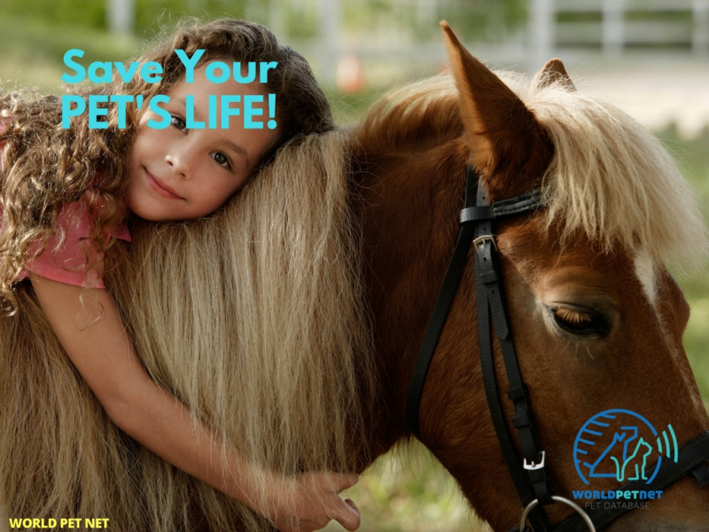 Регистрация в WPN на животни от чипирани породи